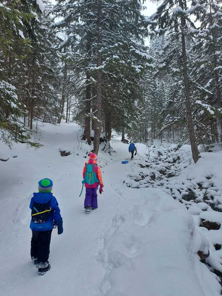 Gdzie spacerować z dziećmi w Tatrach w zimie?